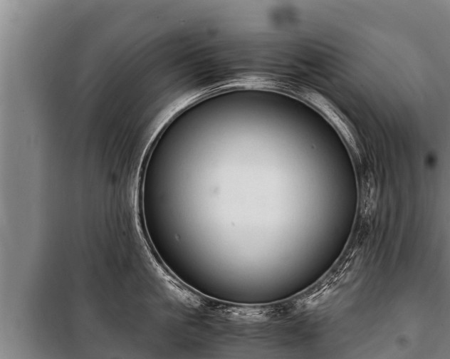 X0000100850861200806271134