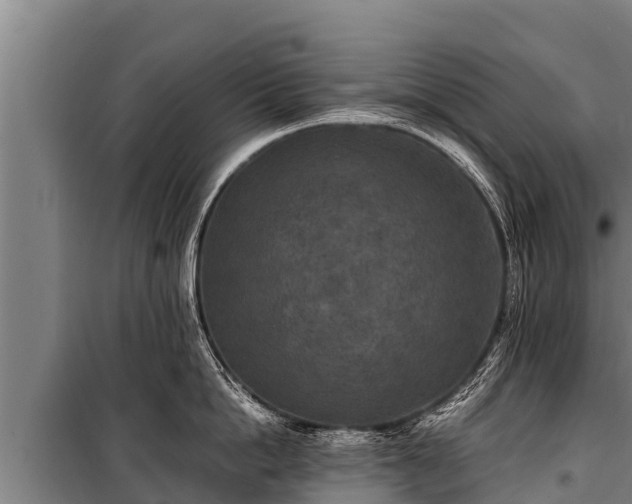 X0000100850862200806271134