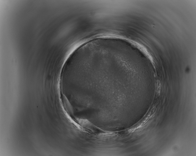 X0000100850863200806271134