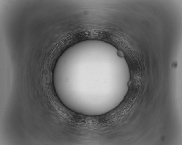 X0000100850865200806271133