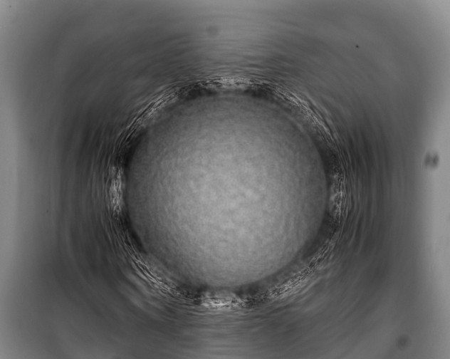 X0000100850866200806271133