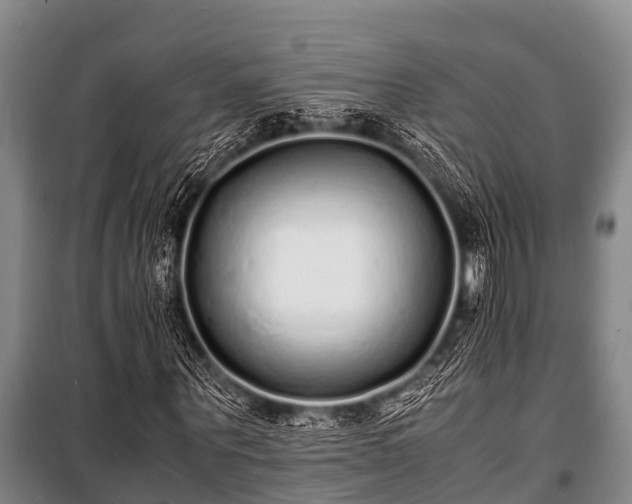 X0000100850867200806271133