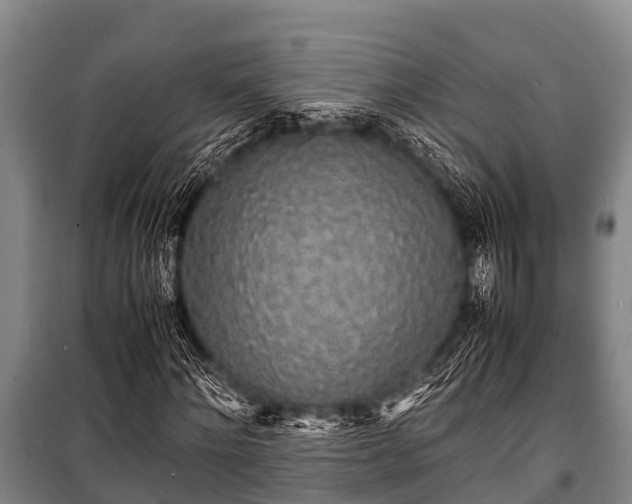 X0000100850868200806271133