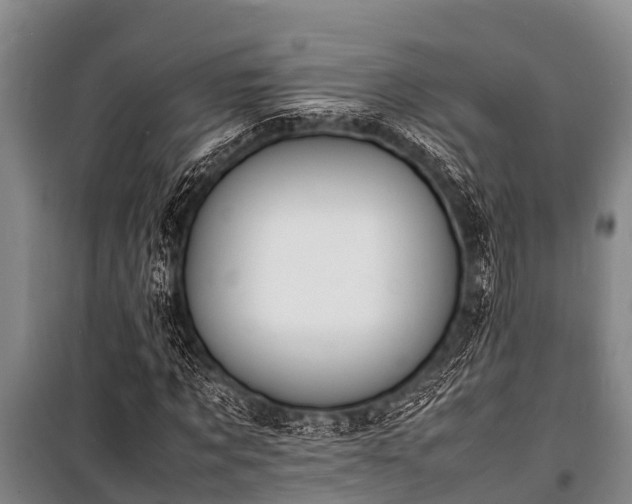 X0000100850869200806271133