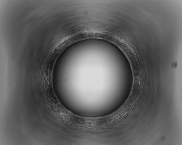 X0000100850870200806271133