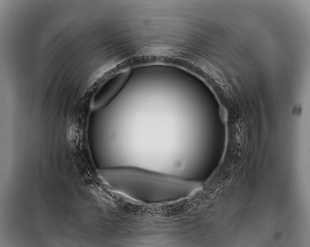 X0000100850872200806271133