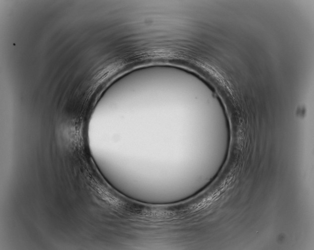 X0000100850873200806271133