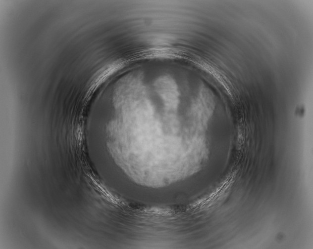 X0000100850874200806271133