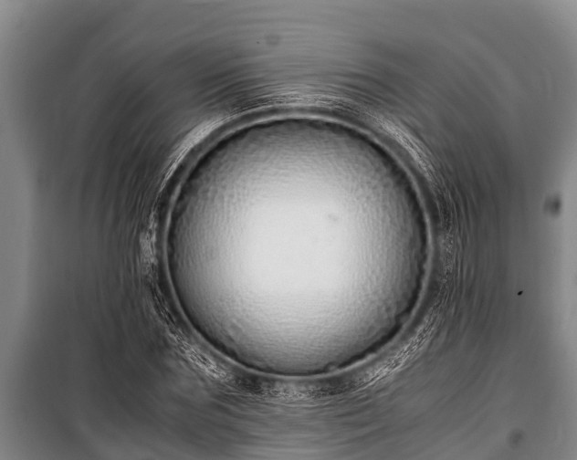 X0000100850875200806271133