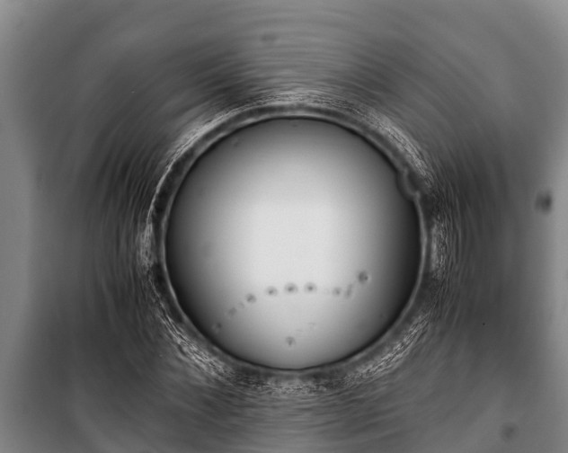 X0000100850876200806271133