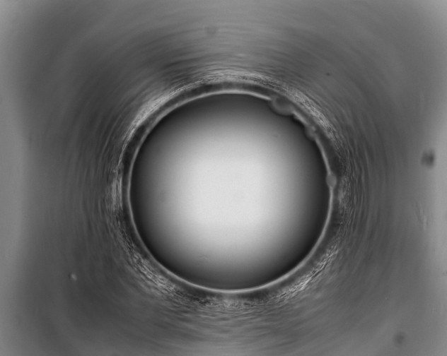 X0000100850877200806271133