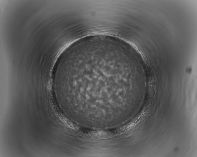 X0000100850879200806271133