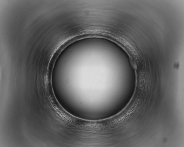 X0000100850880200806271133