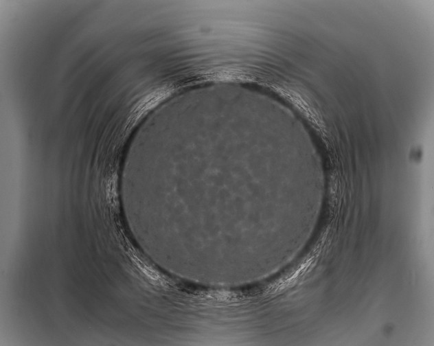 X0000100850881200806271133