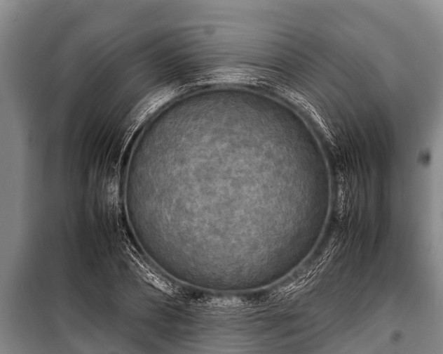 X0000100850882200806271133