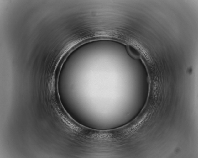 X0000100850884200806271133