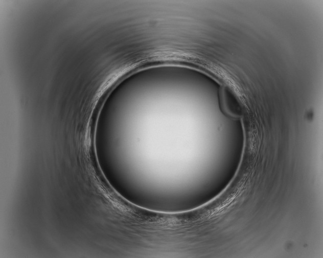 X0000100850885200806271133