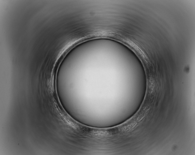 X0000100850886200806271133