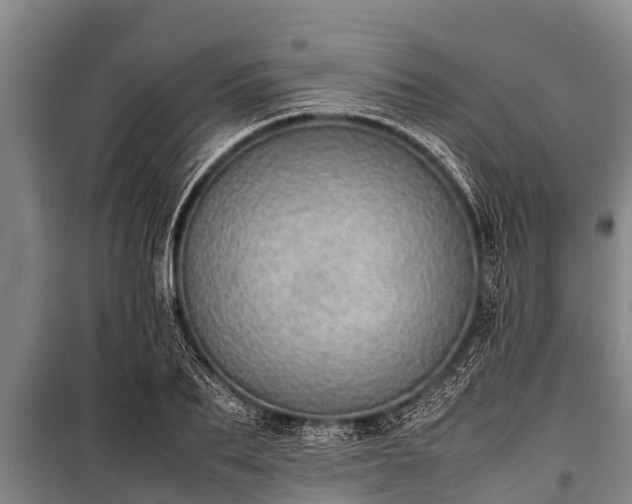 X0000100850887200806271133