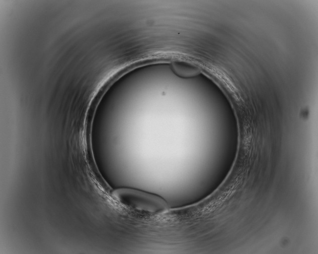 X0000100850888200806271133