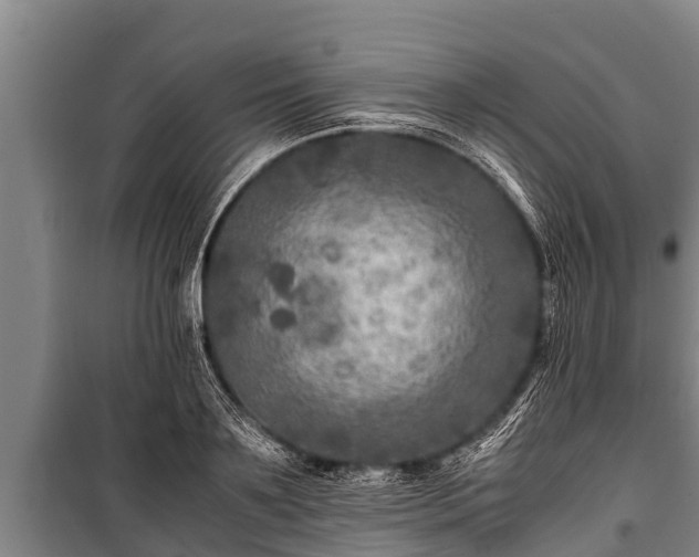 X0000100850891200806271133