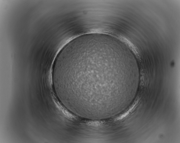 X0000100850892200806271133