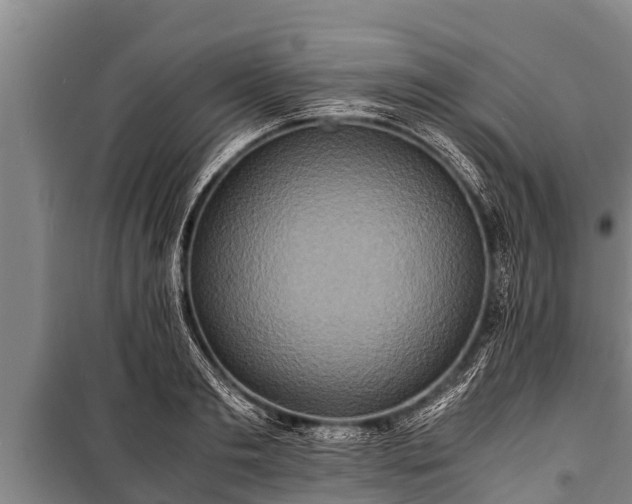 X0000100850893200806271133