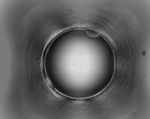 X0000100850894200806271133