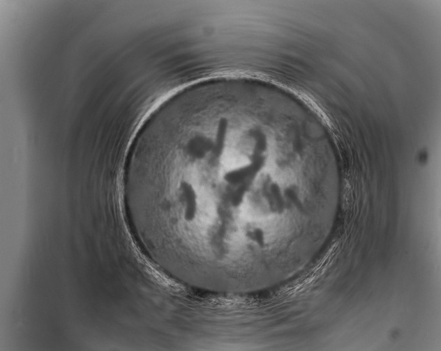 X0000100850895200806271133