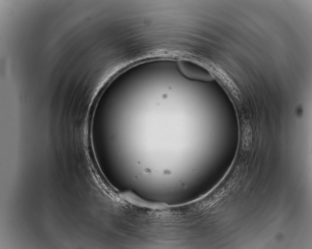 X0000100850896200806271133