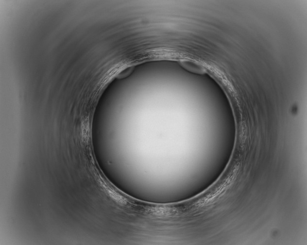 X0000100850897200806271133