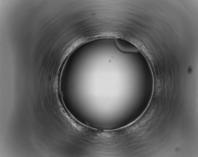 X0000100850898200806271133