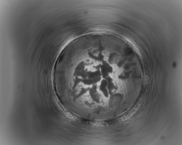 X0000100850899200806271133