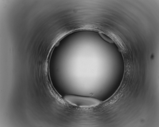 X0000100850900200806271133