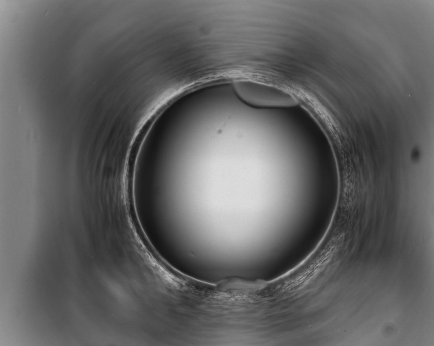 X0000100850902200806271133