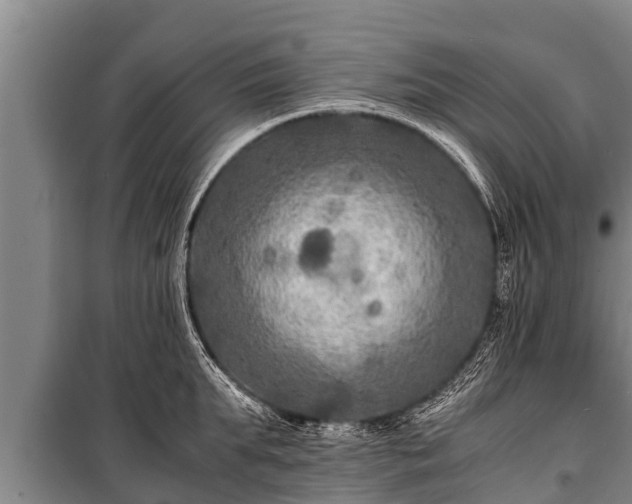 X0000100850903200806271133