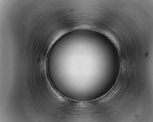 X0000100850906200806271133