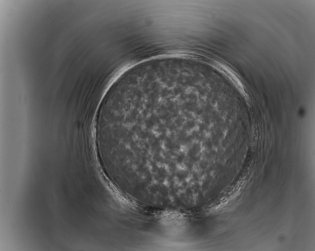 X0000100850907200806271133