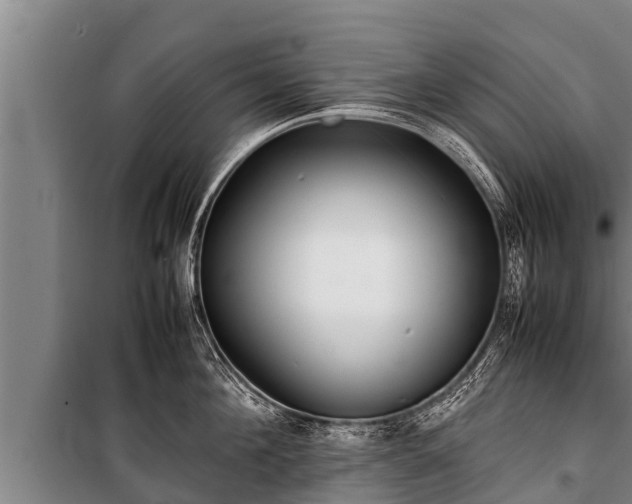 X0000100850908200806271133