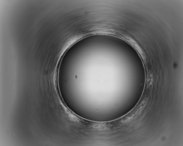 X0000100850909200806271133