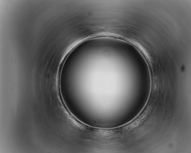 X0000100850910200806271133