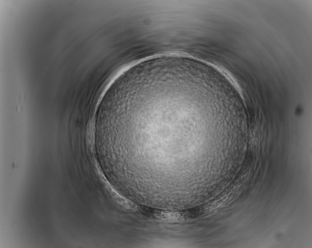 X0000100850911200806271133