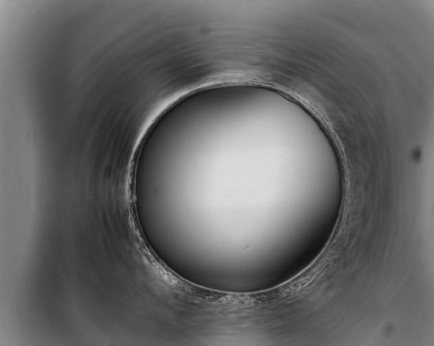 X0000100850912200806271133