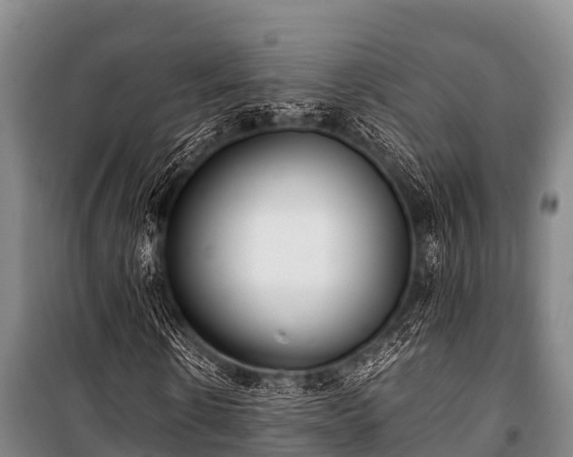 X0000100850914200806271132