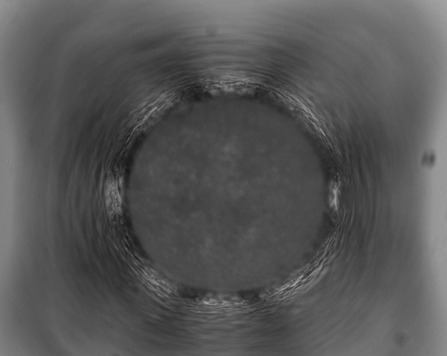 X0000100850915200806271132