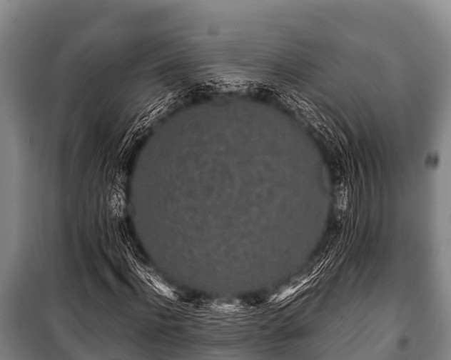 X0000100850916200806271132