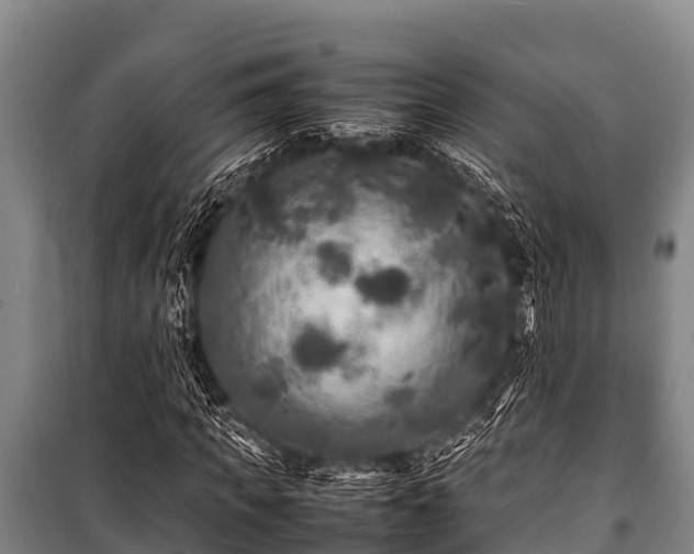 X0000100850917200806271132