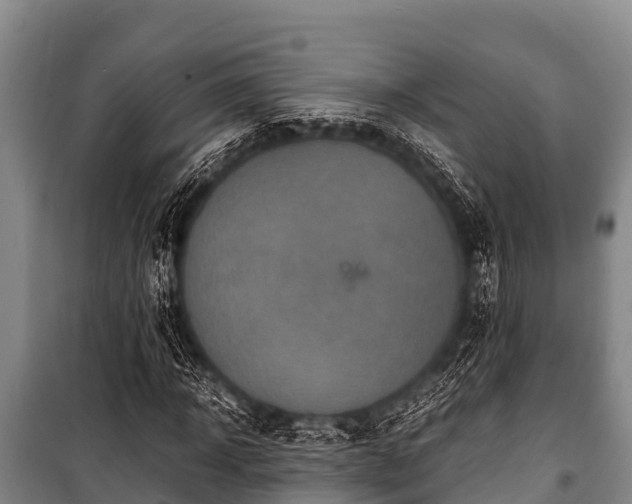 X0000100850918200806271132