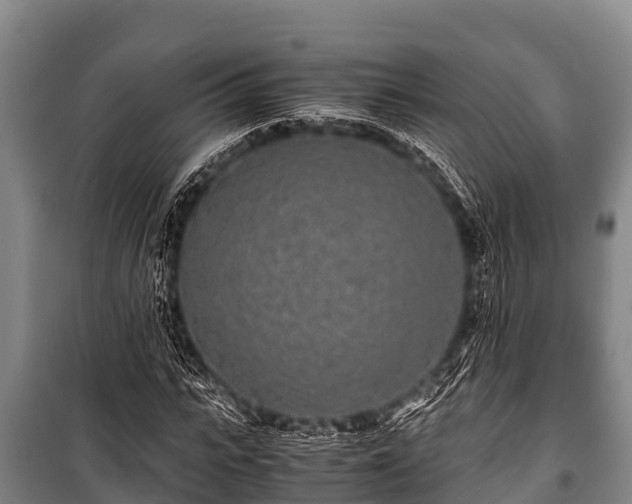 X0000100850919200806271132