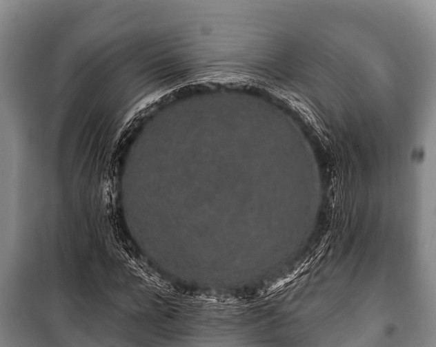 X0000100850920200806271132